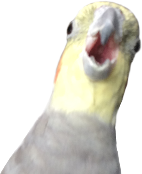 BERB emote for Discord