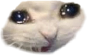 nooowhy emote for Discord