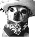 doggiehaw emote for Discord