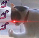 diocat emote for Discord