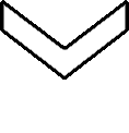 this_animated_bottom emote for Discord