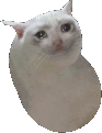 sad_cat_bean emote for Discord