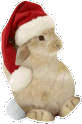 santa_bunny_bean emote for Discord