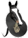 horse_bean emote for Discord