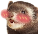 ferretoblush emote for Discord