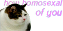 How_gay emote for Discord