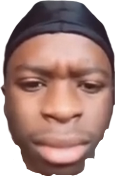 geminihmm emote for Discord