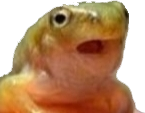 skippy emote for Discord