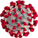 coronavirus static emote