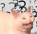 confused_cat emote for Discord