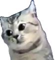 excusemewtf emote for Discord