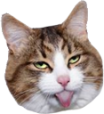 cattongue emote for Discord