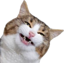 catsmile2 emote for Discord