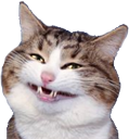 catsmile emote for Discord