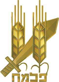 Palmach emote for Discord