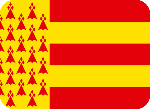 bigouden_flag emote for Discord