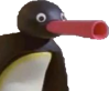 pingunootnoot emote for Discord