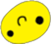 csd_smile_upside_down emote for Discord