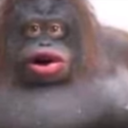 uh_oh_closeup emote for Discord