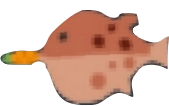 carrotfish emote for Discord