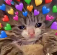 loveeternal emote for Discord