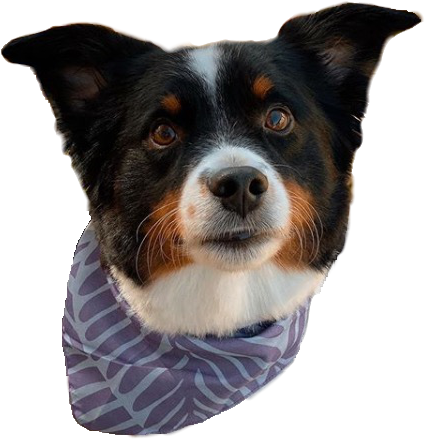 Logan emote for Discord