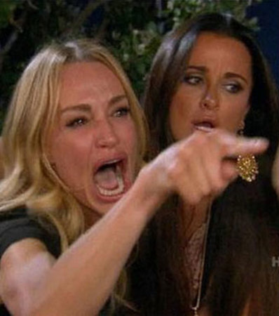 woman_yelling_at_cat_meme emote for Discord
