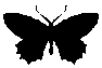 2 emote for Discord