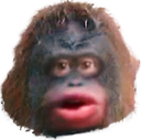 le_monke emote for Discord