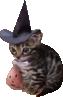 spookycat emote for Discord