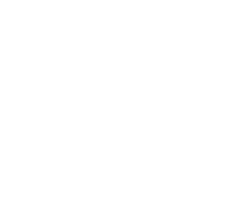 FLY emote for Discord