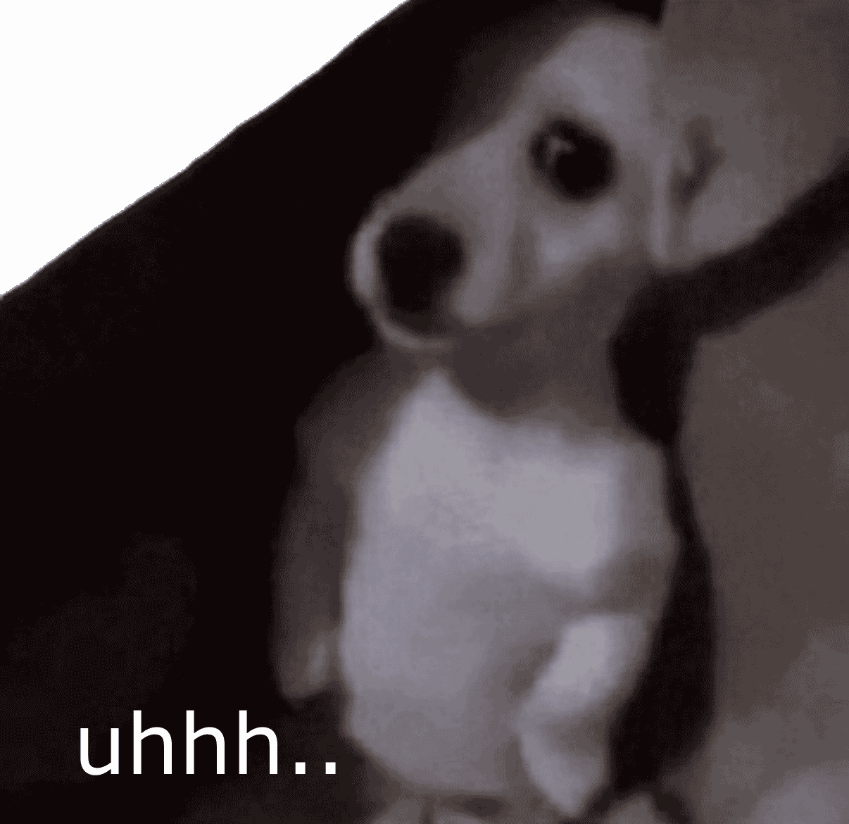 shy_dog emote for Discord