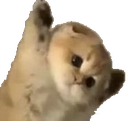 dont emote for Discord
