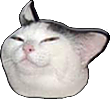 CatSmug emote for Discord