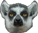 Lemur emote for Discord