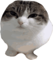 Oi emote for Discord