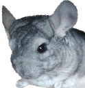 SuperGaston2 emote for Discord