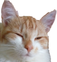 tachanka_feelsnice emote for Discord