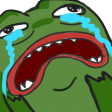 Pepe_Meltdown emote for Discord