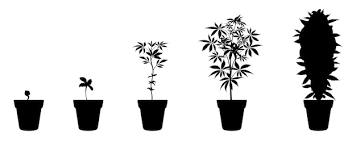 Weed emote for Discord