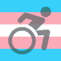 transWheelchair emote for Discord