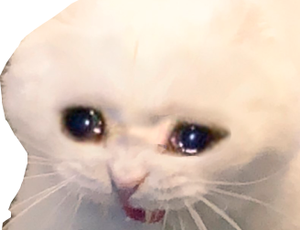 sadcat2 emote for Discord