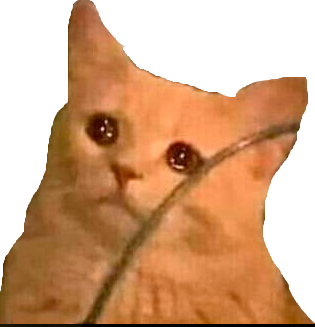 sadcat4 emote for Discord
