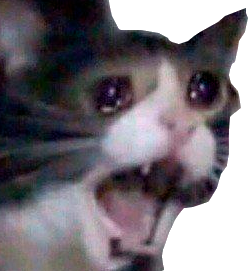 sadcat1 emote for Discord