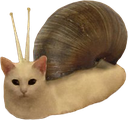 SnailCat emote for Discord