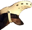 CaptainDoggo emote for Discord
