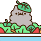 Stormysalad emote for Discord