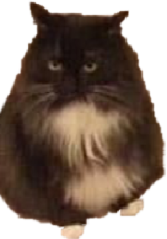 plump_grump emote for Discord