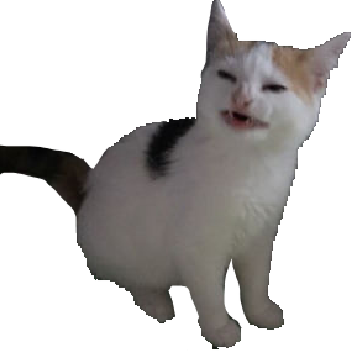 no_like_cat emote for Discord