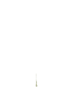 thonk_tree emote for Discord
